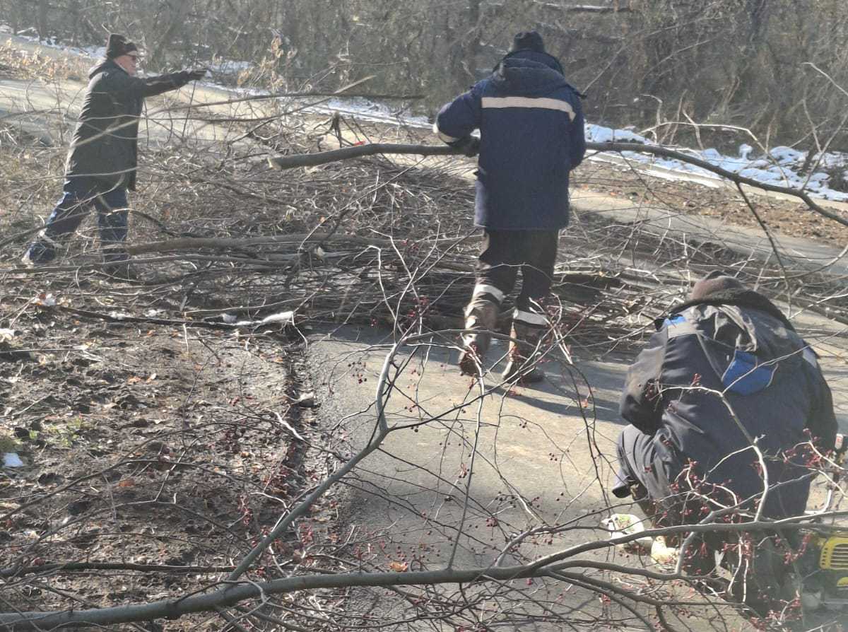 В нашем любимом Тырганском парке кипит работа