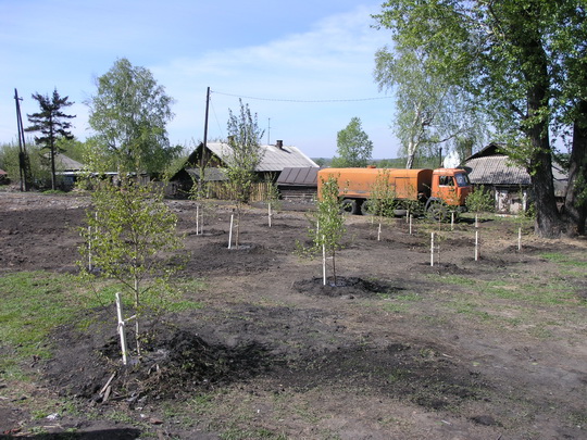Прокопьевский Водоканал принял участие в едином дне посадки деревьев