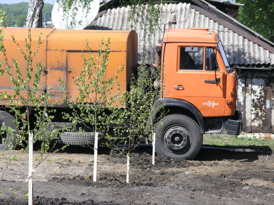 Прокопьевский Водоканал принял участие в едином дне посадки деревьев