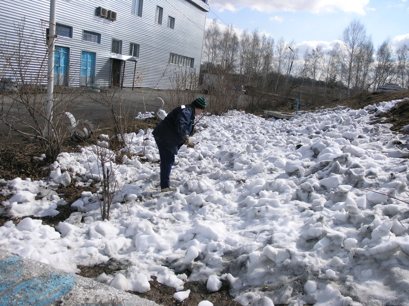 Прокопьевский Водоканал принял участие в очередном субботнике