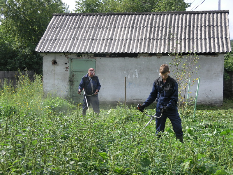 Наш труд на благо родного города