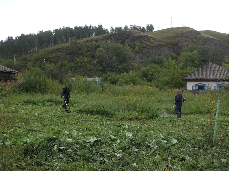 Наш труд на благо родного города
