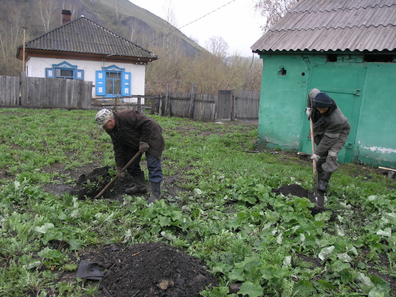 Сотрудники Водоканала активно включились в традиционный месячник посадки деревьев