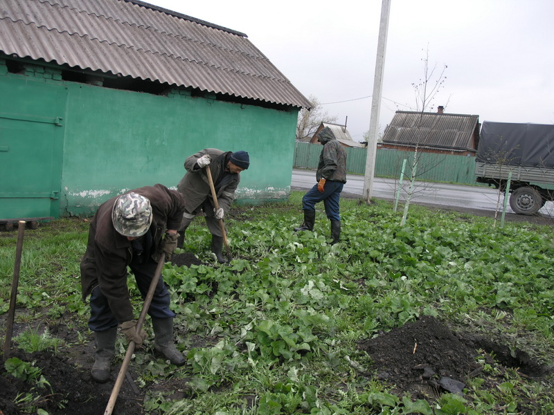 Сотрудники Водоканала активно включились в традиционный месячник посадки деревьев