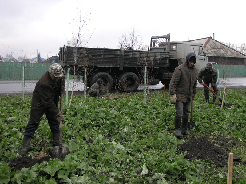 Сотрудники Водоканала активно включились в традиционный месячник посадки деревьев