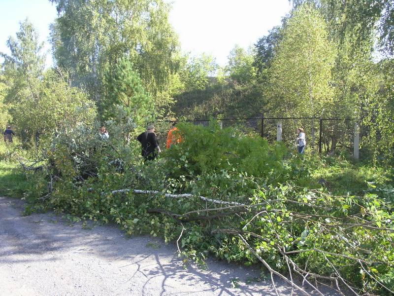 Водоканал принял участие во Всероссийском экологическом субботнике «Страна моей мечты»