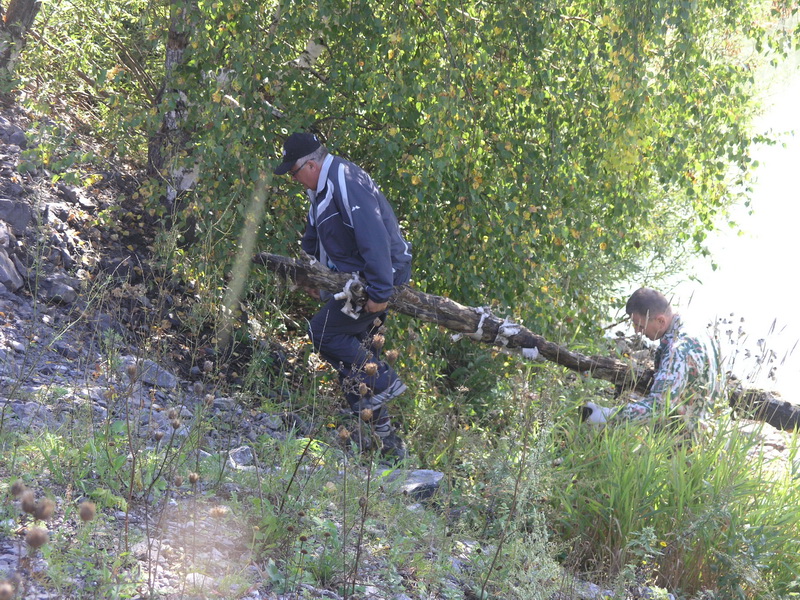 Водоканал принял участие во Всероссийском экологическом субботнике «Страна моей мечты»