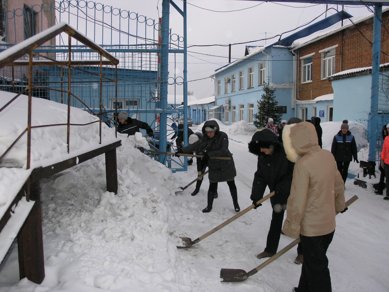 Сотрудники управления АО «ПО Водоканал» приняли участие в областной акции по уборке снега