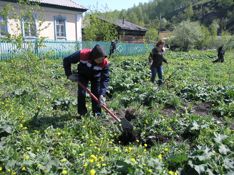 Водоканал принял участие в областной акции «Всекузбасский день посадки деревьев»