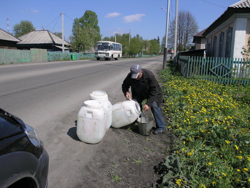 Водоканал принял участие в областной акции «Всекузбасский день посадки деревьев»