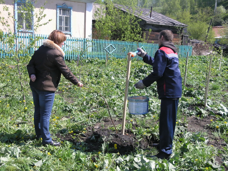 Водоканал принял участие в областной акции «Всекузбасский день посадки деревьев»
