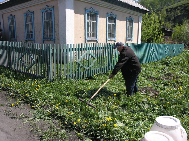 Водоканал принял участие в областной акции «Всекузбасский день посадки деревьев»
