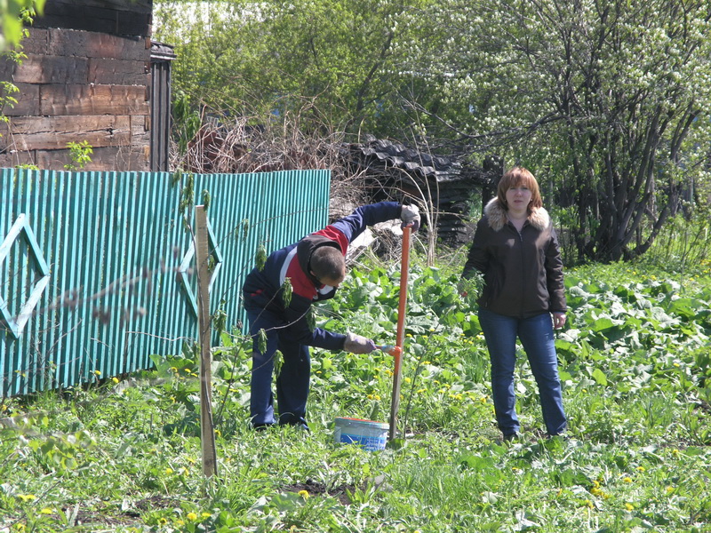 Водоканал принял участие в областной акции «Всекузбасский день посадки деревьев»