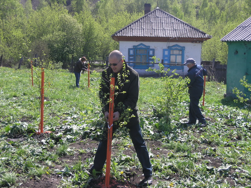Водоканал принял участие в областной акции «Всекузбасский день посадки деревьев»