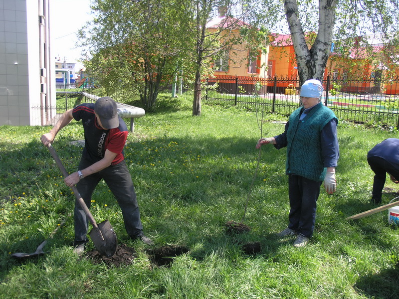 Водоканал принял участие в областной акции «Всекузбасский день посадки деревьев»