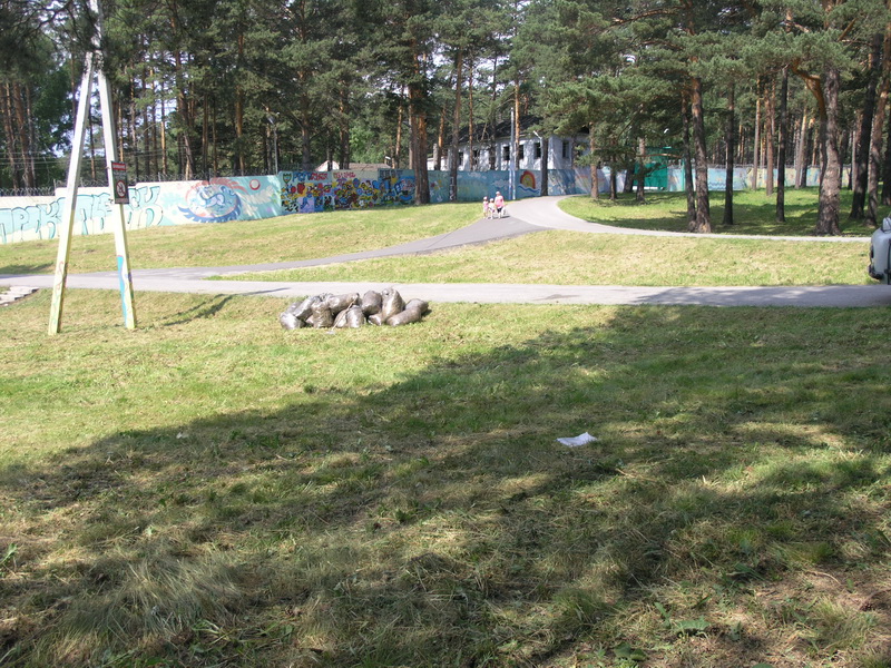 Участие в благоустройстве Зенковского парка