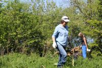 18002-017
