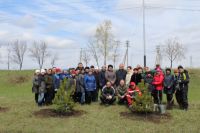 18011-056